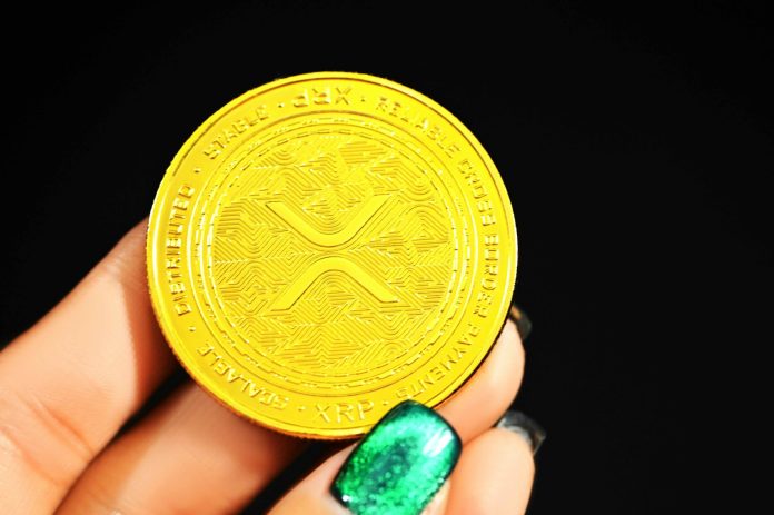 gold round coin on persons hand